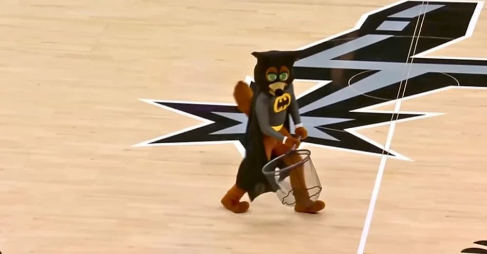 Bat Interrupts San Antonio Spurs&#8217; vs Timberwolves Game