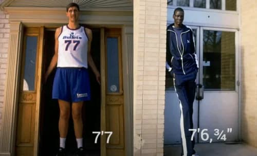 Tallest NBA Player in History: Manute Bol or Gheorghe Muresan? Who is Taller and Who was More Effective?