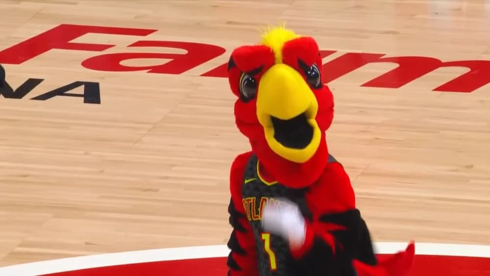 Harry the Hawk: One of the first mascots ever to debut in the National Basketball league